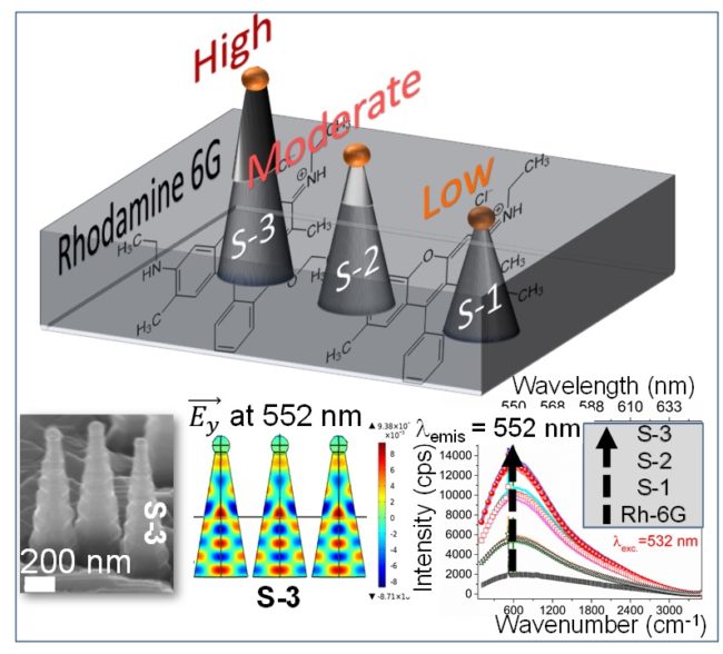 A Systematic Study on Au-capped Si Nanowhiskers for Size-Dependent Improved Biosensing Applications