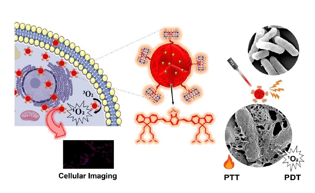 oparticles for Combined Photodynamic-Photothermal Therapy and Cellular Imaging